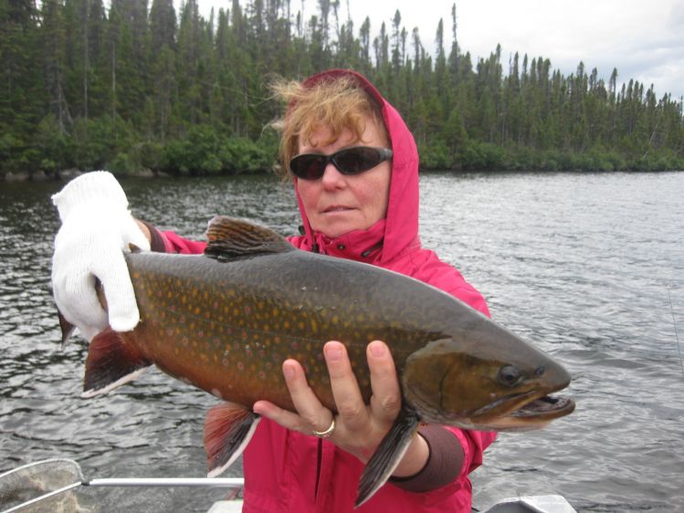 Labrador brook trout - Igloo Lake Lodge