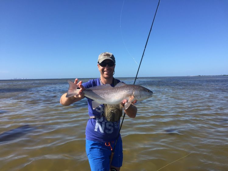 Lustrik and Red fish, Florida