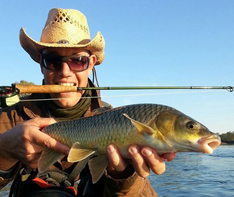 Small mouth Yellow fish from the Vaal River