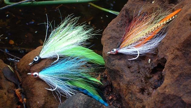 Flies for Tiger fish