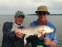 Sight fishing for redfish on the fly!