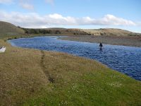 Fly fishing picture