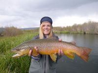 Fishing Report: The White River near Meeker, CO by Shannon Branham