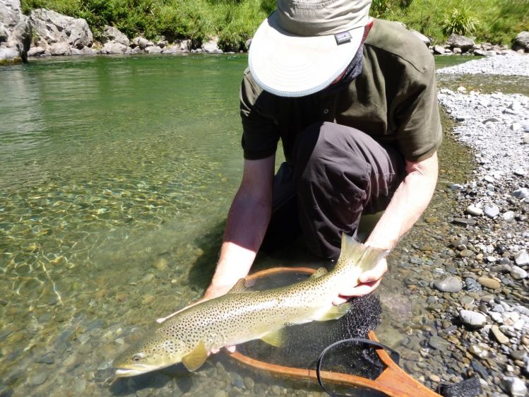 A good Brown just prior to release