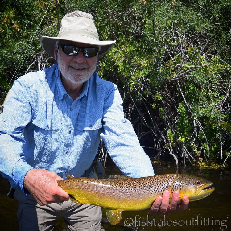 I got diddly for images today so Im throwing it back to Jack's fish for another  look. #flyfishing #montanaflyfishing #beaverheadriver #browntrout #winstonrod #fishtalesoutfitting #fishtalesoutfittingguideservice