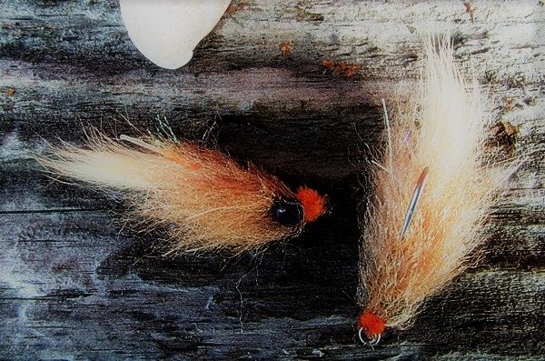 Mole crab flys, simple EP tan brush with legs, a lead eye and a little orange for an egg sac made out of chenille. Very successful fly lately on summer flounder and stripers. 