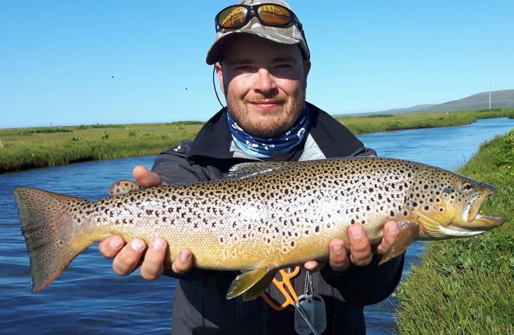 Another fine Brown trout from Lónsá