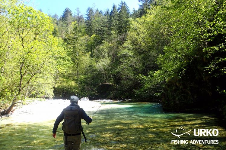 Blue-green pools are home to the indigenous marble trout and grayling