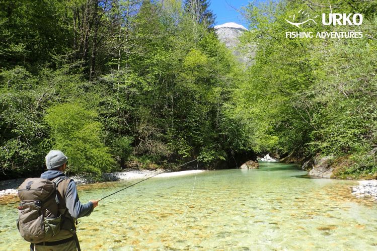 Sight fishing in crystal clear water is highest experience any fly fisherman can get