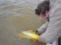 Foto de pesca con mosca