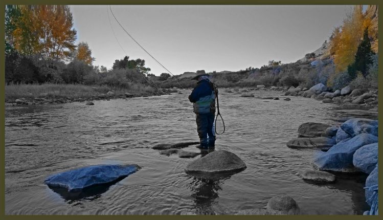 Fishing the Wind River in the Fall.  Mark at Trout Bumming.com