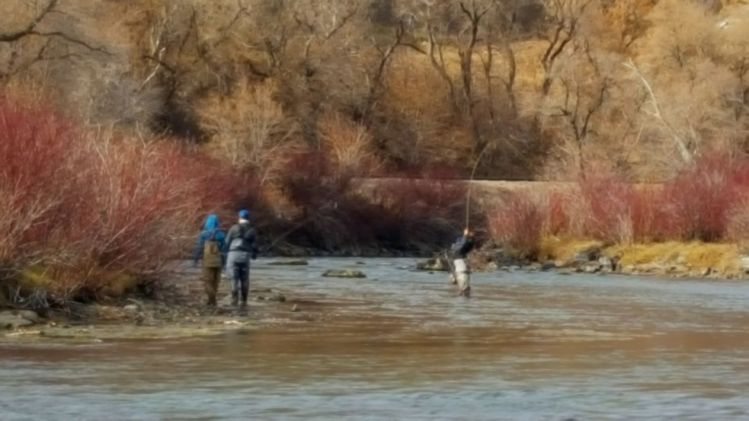 This has to be the worst guide on the planet. Ditched his clients by about a 150 yards, leaving them to cross the swift river alone.  Then by the time they catch him he's catching fish.  I felt so bad for them I hope he didn't get a tip for the day.
