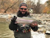 Steelhead