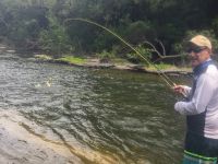 Fly fishing picture