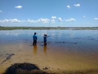 Fly fishing picture