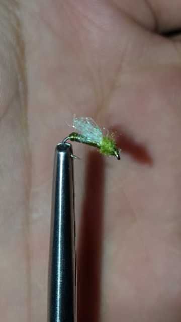Anyone tried this small midge before it is fun to tye and caught my first trout on my new 5 weight pole.