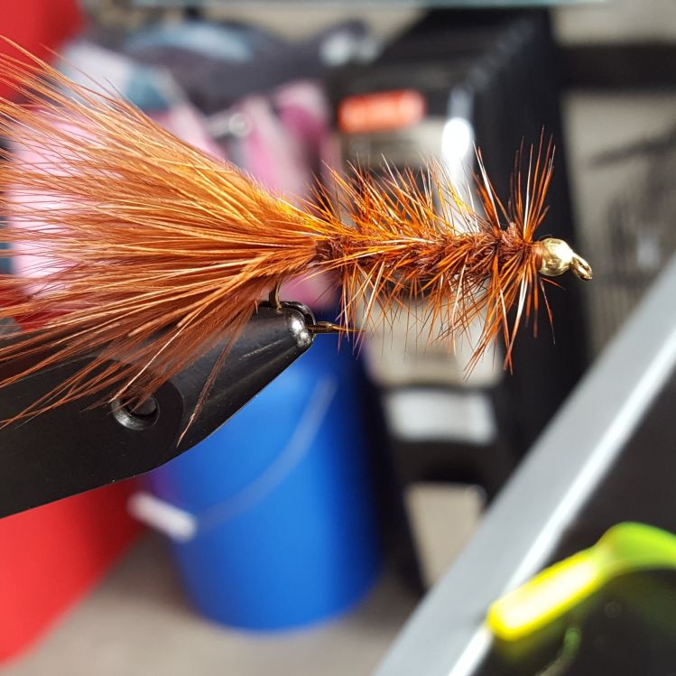 Nice rusty brown wooly bugger tied on a size 8 streamer hook