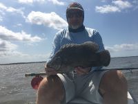 Tripletail are never far from tarpon grounds!