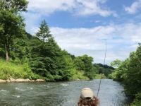 Rachel D. Hooked up with a Pa Stream bred Brown Trout