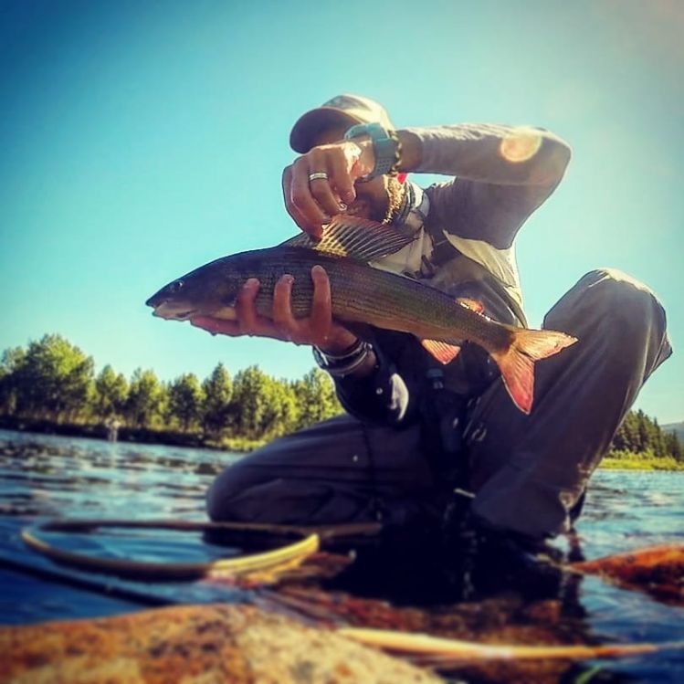 Fly Pesca Norway 