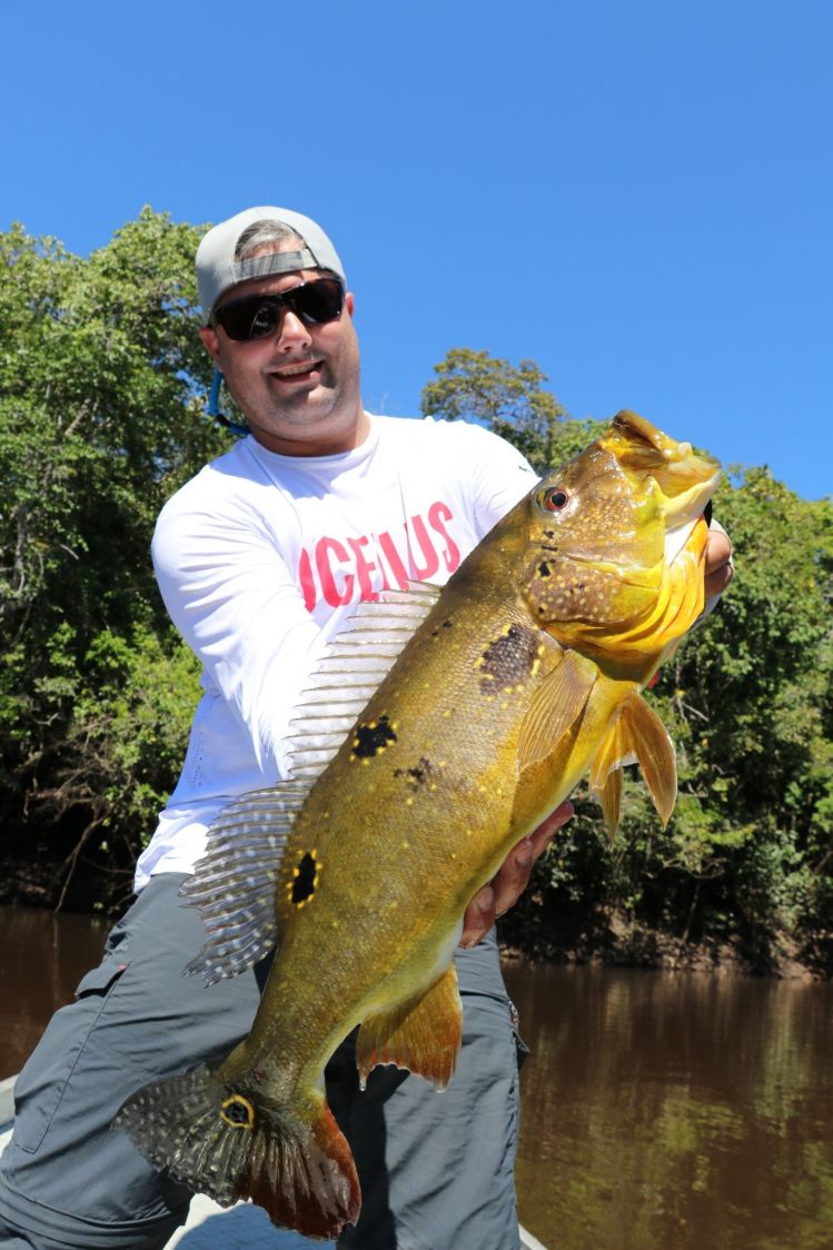 Peacock Bass - Tapajós River
Amazon Brazil