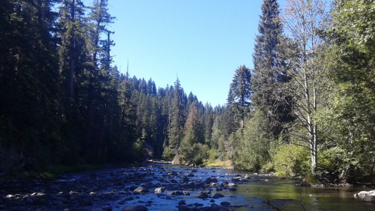 Small tributary of the Naches River, in WA.