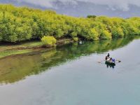 Foto de pesca con mosca