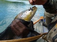 Foto de pesca con mosca