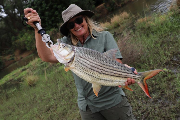 Betsy Robb with a tremendous Tigerfish from the Lower Zambezi