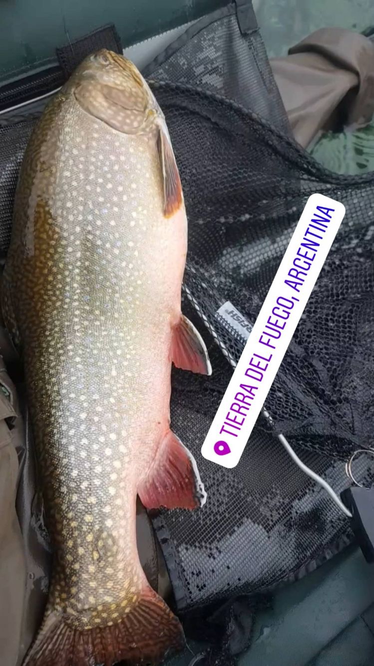 We started the season with beautiful and big brook Trout very colorful ..