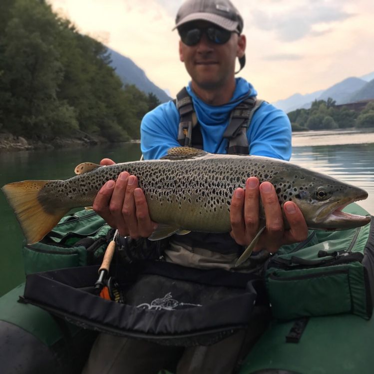 A solid brown trout on Slovenia Jurassic lake