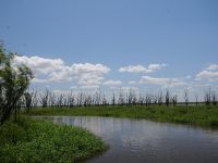 Foto de pesca con mosca