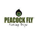 Peacock Fly  Fishing Trips