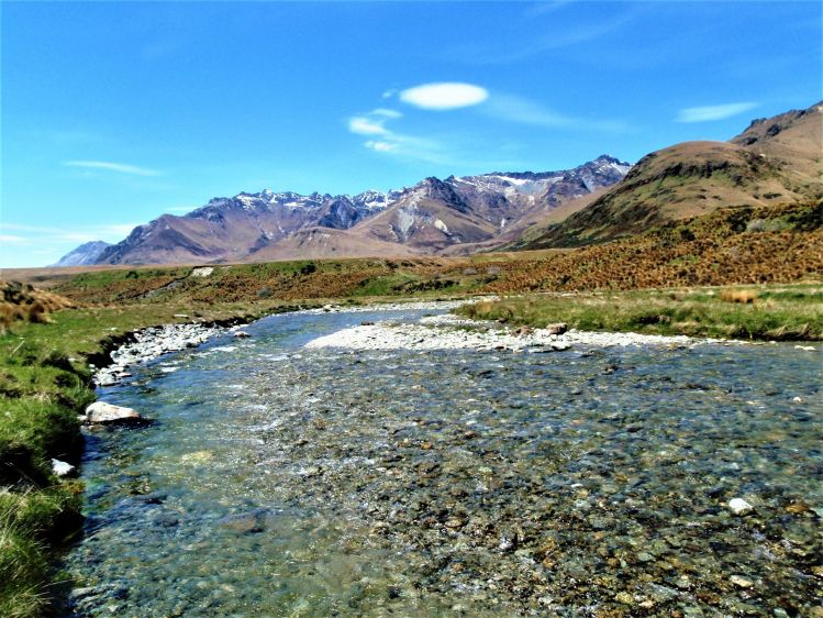 The Von River was filmed in 'The Lord of the rings" and holds mixed populations of brown and rainbow trout.