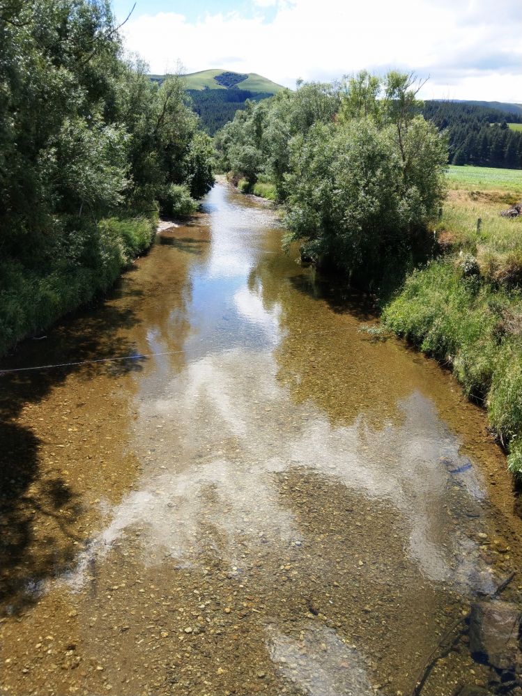 The burns that empty into the Waikaia River are crystal clear and often flowing over a crushed golden sand allowing pleasant wading and casting conditions.