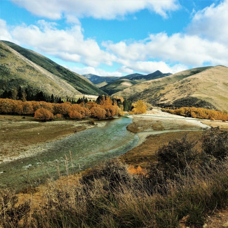 Autumn (March - April) brings cooler days and trout starting to prepare for spawning. The rivers in New Zealand close over the winter months ( May to September) to allow the trout to spawn in peace. The fishery is totally sustained by a wild trout.
