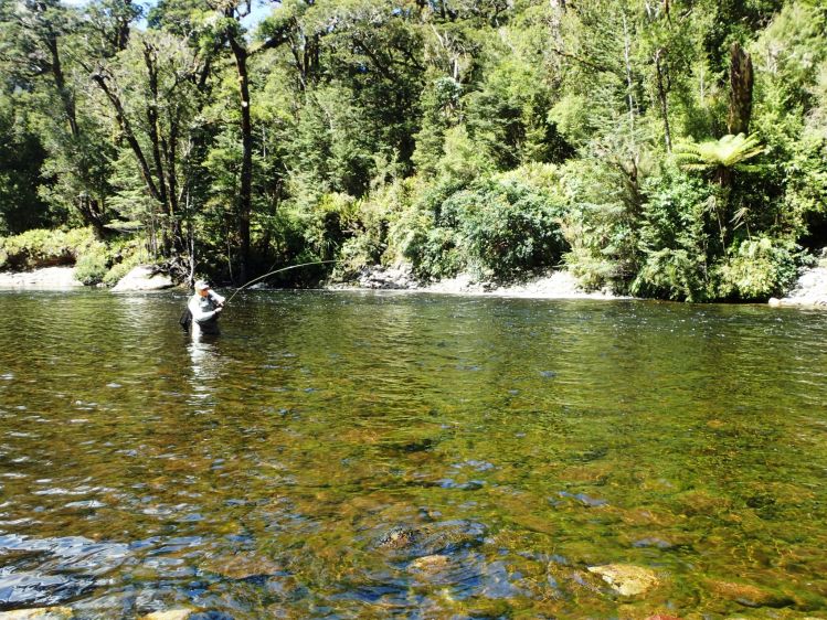 Back-country fly fishing on the Wapiti River in Fiordland.