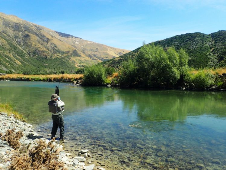Clear waters of the Mataura River allow sight fishing to rising trout and nymph fishing to browns sighted feeding from the river bed.