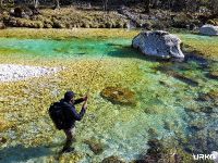 Soča River - Fly fishing Slovenia 
More info: http://www.urkofishingadventures.com/
