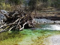 Lepena River - Fly fishing Slovenia 
More info: http://www.urkofishingadventures.com/
