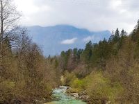 Koritnica River - Fly fishing Slovenia 
More info: http://www.urkofishingadventures.com/
