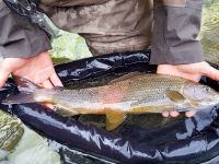 Koritnica River - Fly fishing Slovenia 
More info: http://www.urkofishingadventures.com/
