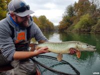 Pike on a fly
More info: www.urkofishingadventures.com