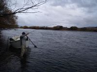 Fly fishing picture