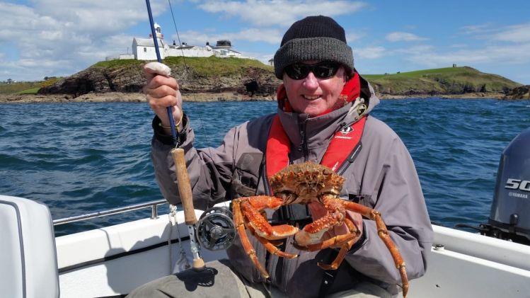 A Spidercrab on the fly in Cork Harbour, Ireland. 