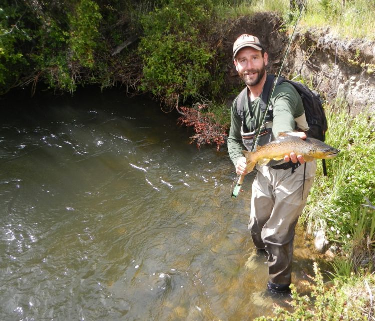 Small stream dry fly browns on a nameless creek