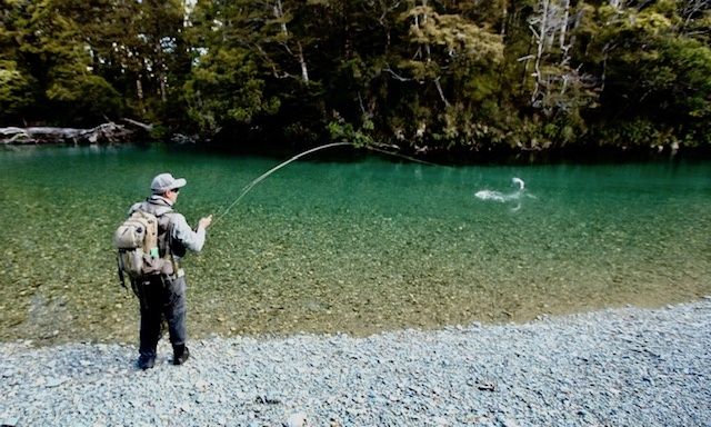 Angler Nick Reygaert (CEO GinClear Media)
Hooked up on a solid fish
Fiordland Large Rainbow Trout
South Island 
New Zealand
Guide: Chris Reygaert
