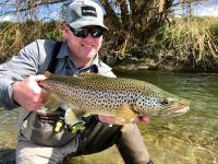 Solid Brown Trout New Zealand South Island Te Anau Fiordland