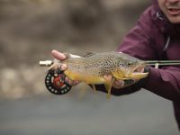 Foto de pesca con mosca