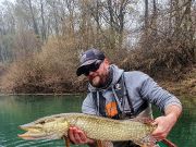 Not only that hucho hucho fishing is hot right now. Pike is hammering it big time, too!!!